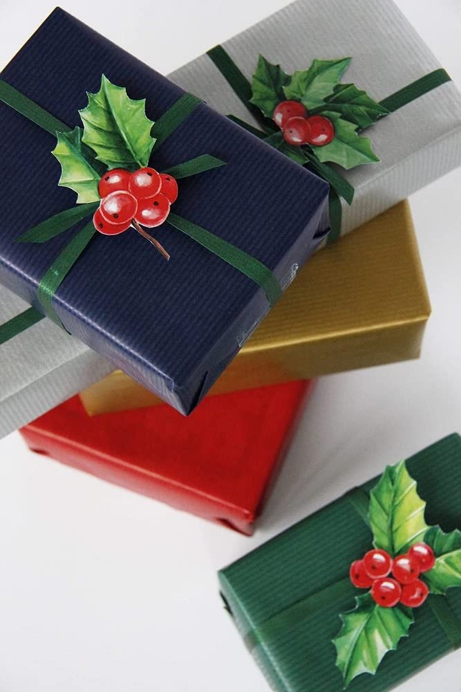 clairefontaine-507506c-rolle-geschenkpapier-50-x-0-70-m-60g-rot image 3