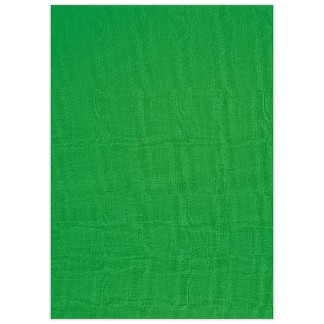 ursus-struktura-basic-2-bastelkarton-din-a4-grasgr-n-220-g-qm-25-blatt image 1