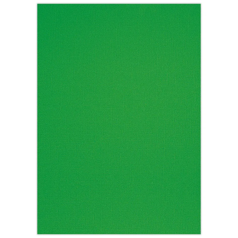 ursus-struktura-basic-2-bastelkarton-din-a4-grasgr-n-220-g-qm-25-blatt image 1
