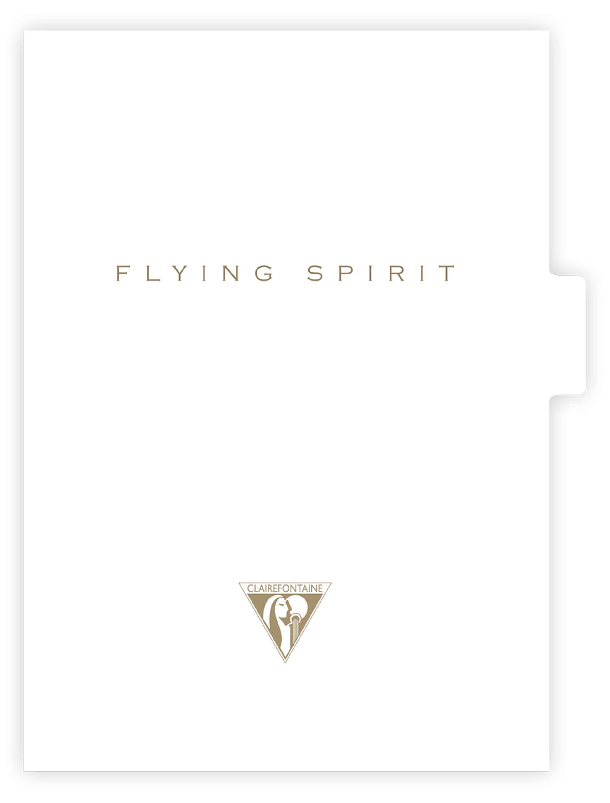 clairefontaine-flying-spirit-registermappen-din-a4-22x31-cm-set-mit-3-st-ck-moti image 4