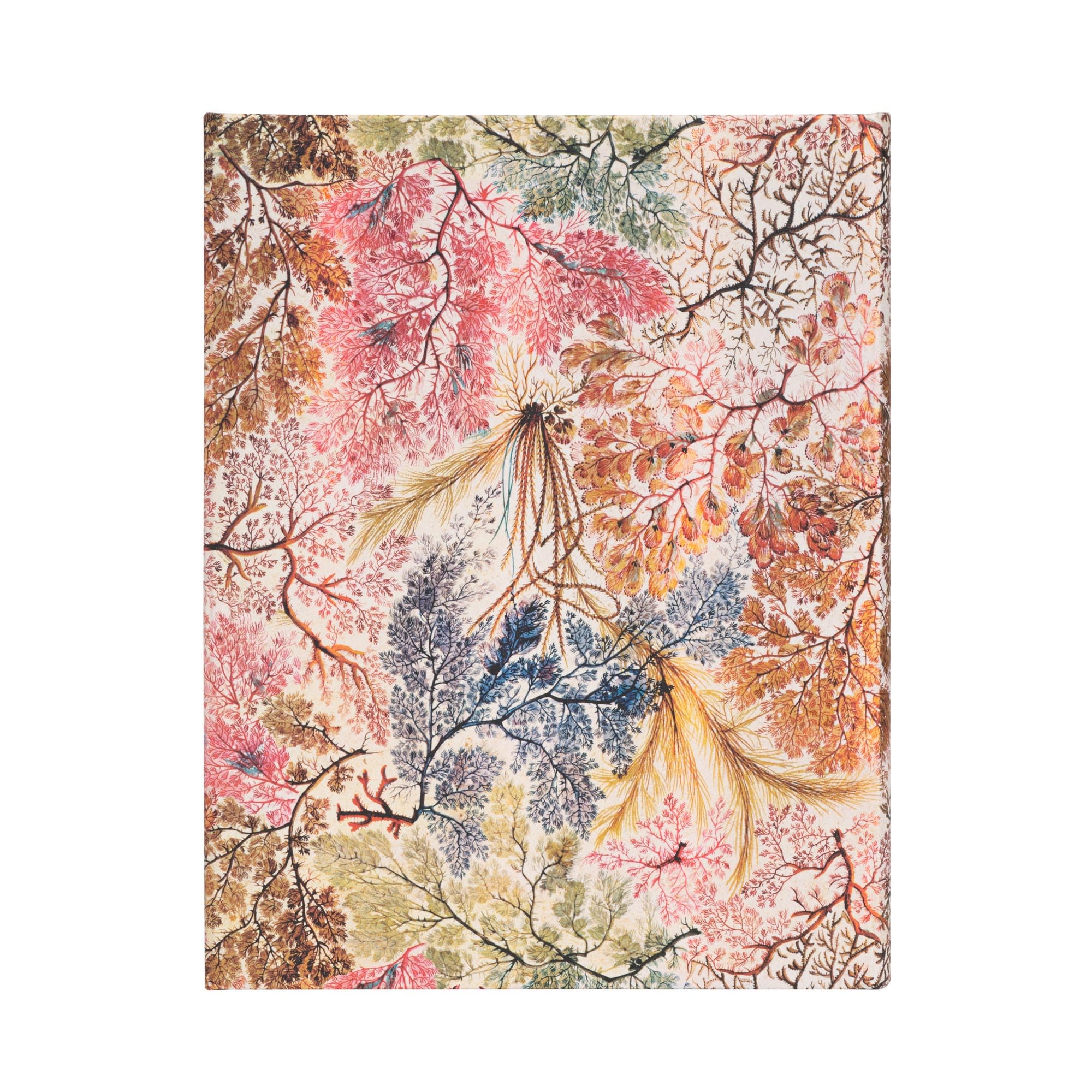 paperblanks-william-kilburn-notizbuch-hardcover-ultra-180x230-mm-liniert-144-sei image 4