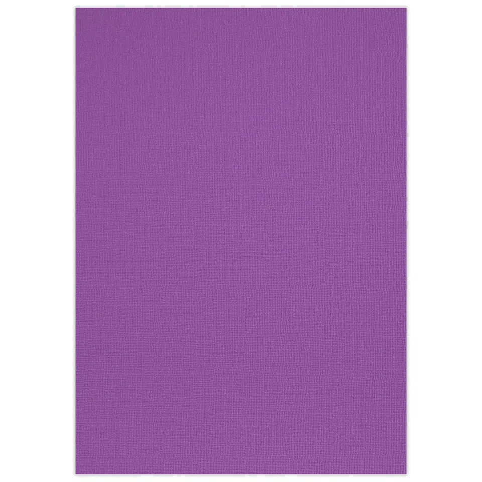 ursus-struktura-basic-2-bastelkarton-holunder-220-g-qm-din-a4-25-blatt image 1