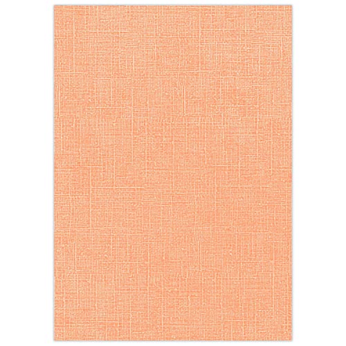 ursus-struktura-vintage-1-bastelkarton-mango-din-a4-25-blatt-220-g-qm image 3