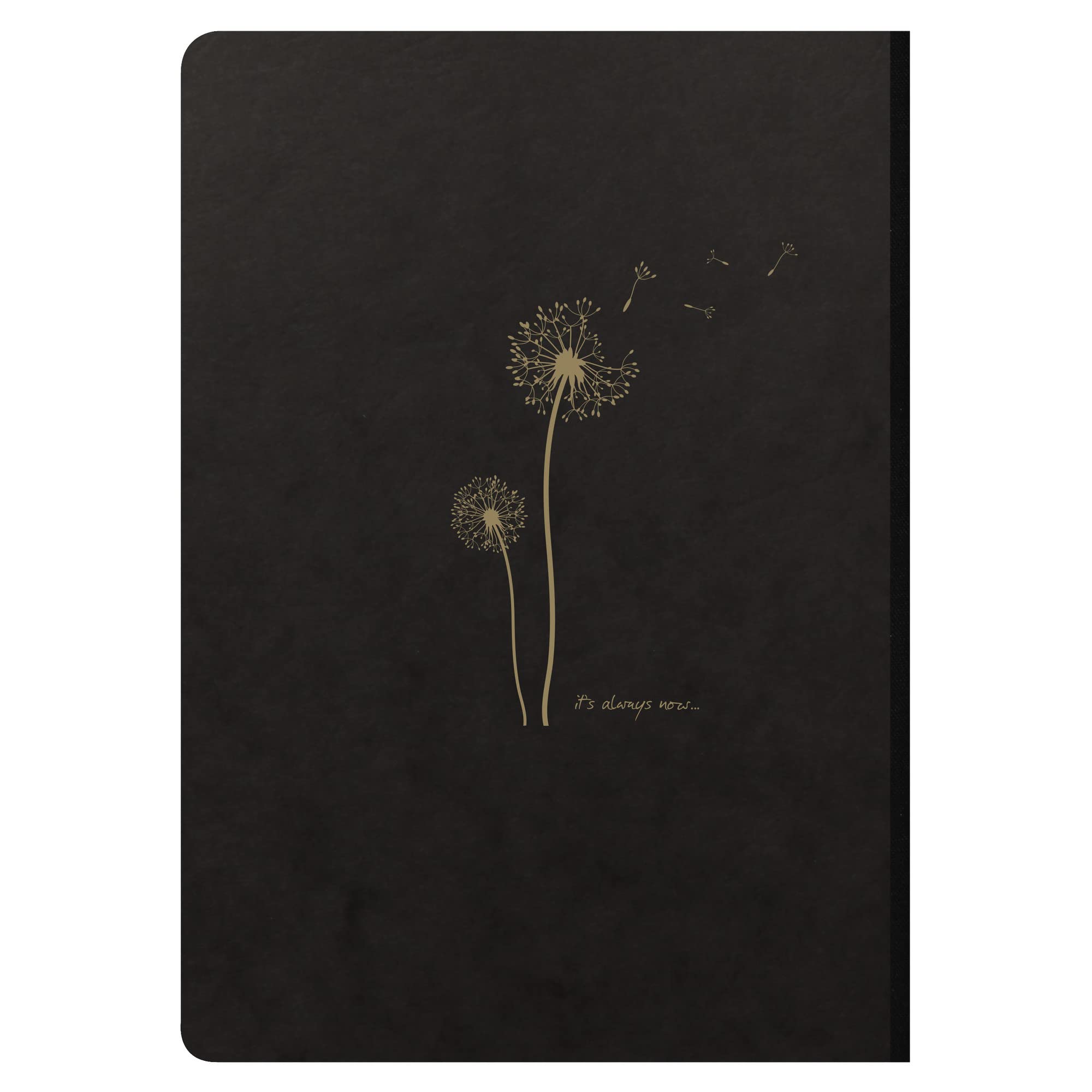 clairefontaine-102546c-flying-spirit-notizbuch-liniert-din-a5-96-blatt-schwarz image 5