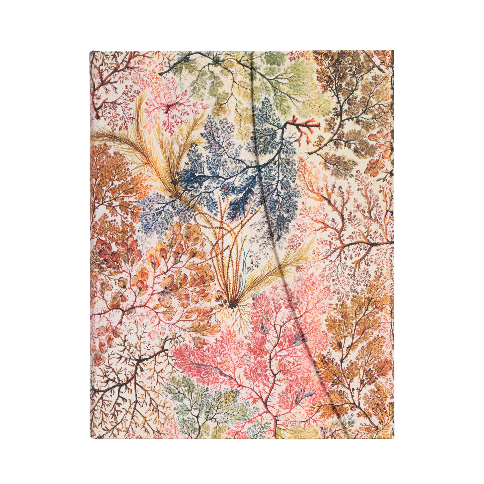 paperblanks-william-kilburn-notizbuch-hardcover-ultra-180x230-mm-liniert-144-sei image 2