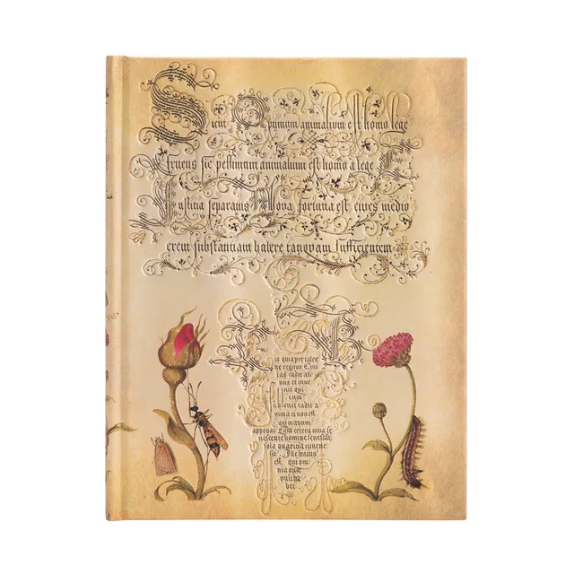 paperblanks-mira-botanica-flemish-rose-ultra-notizbuch-blanko-hardcover-mit-gumm image 1