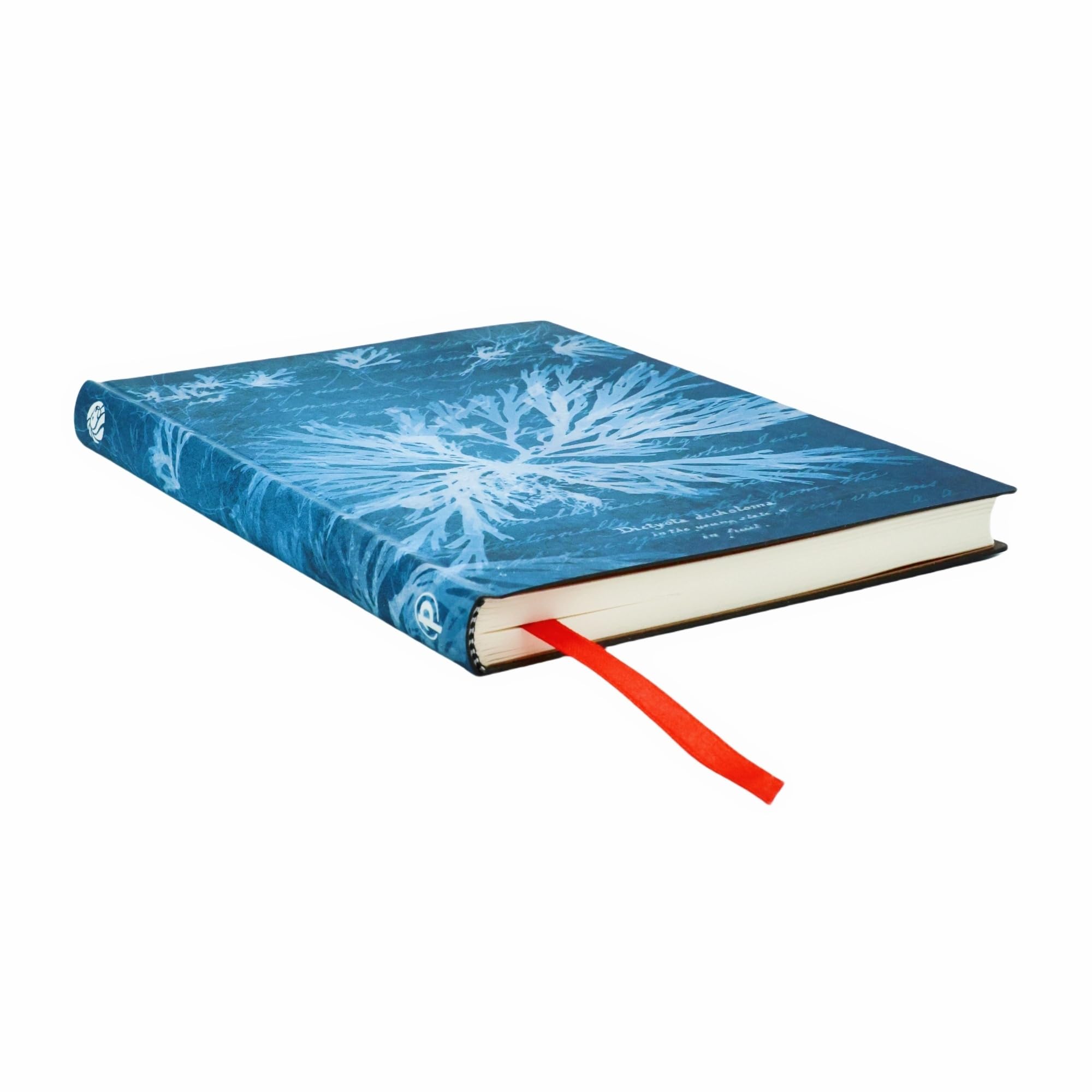 paperblanks-sea-flowers-anna-atkins-cyanotypes-midi-notizbuch-liniert-softcover- image 3