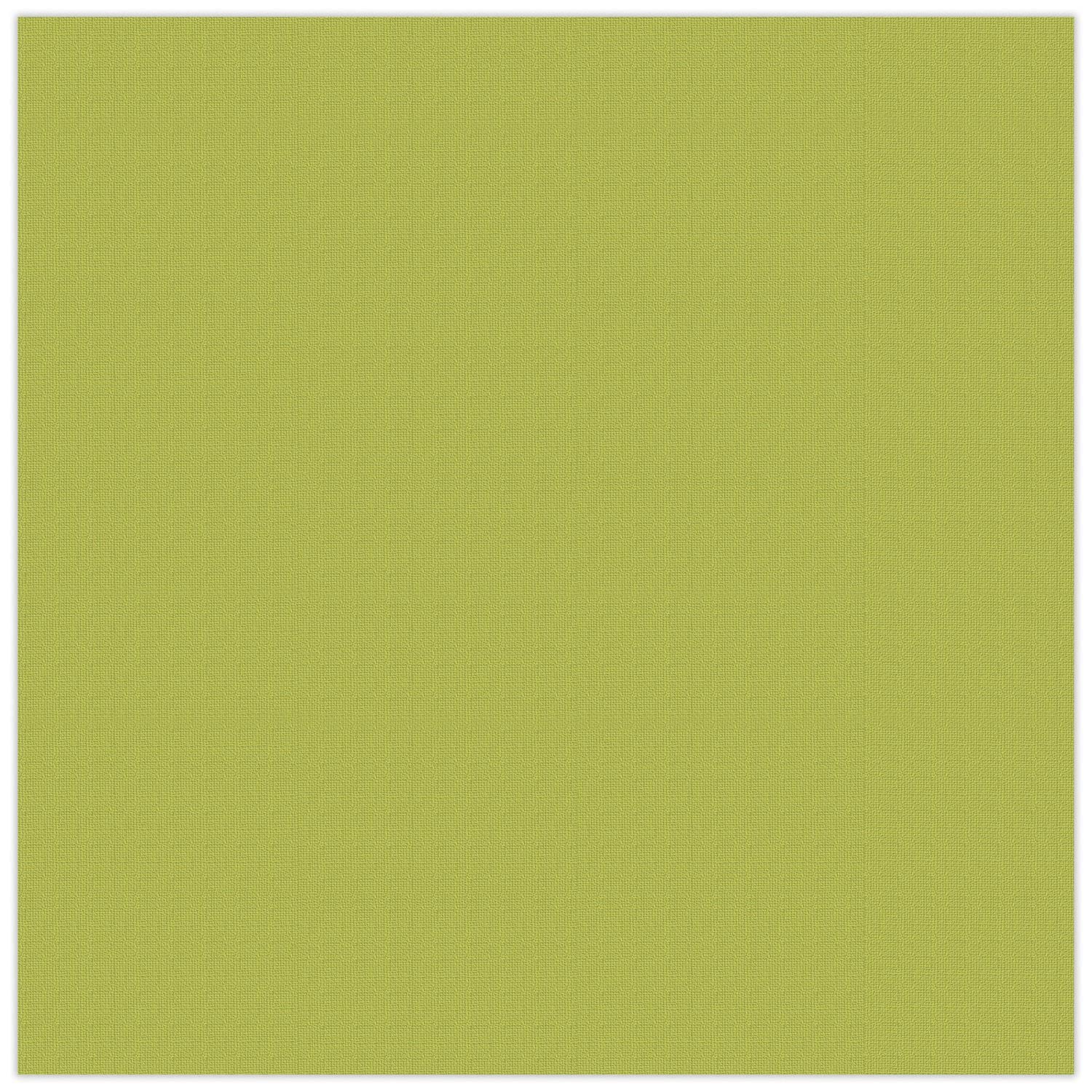 ursus-struktura-basic-1-olivgr-n-bastelkarton-tonkarton-30-5-x-30-5-cm-220-g-qm- image 1