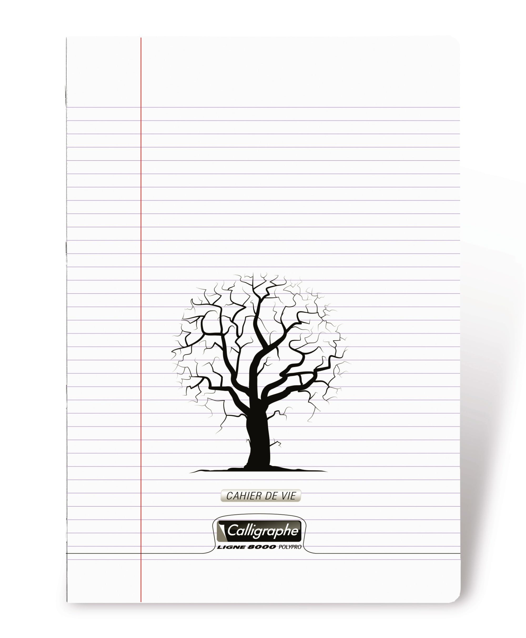 clairefontaine-calligraphe-18230c-heft-17x22cm-24-blatt-sey-s image 4