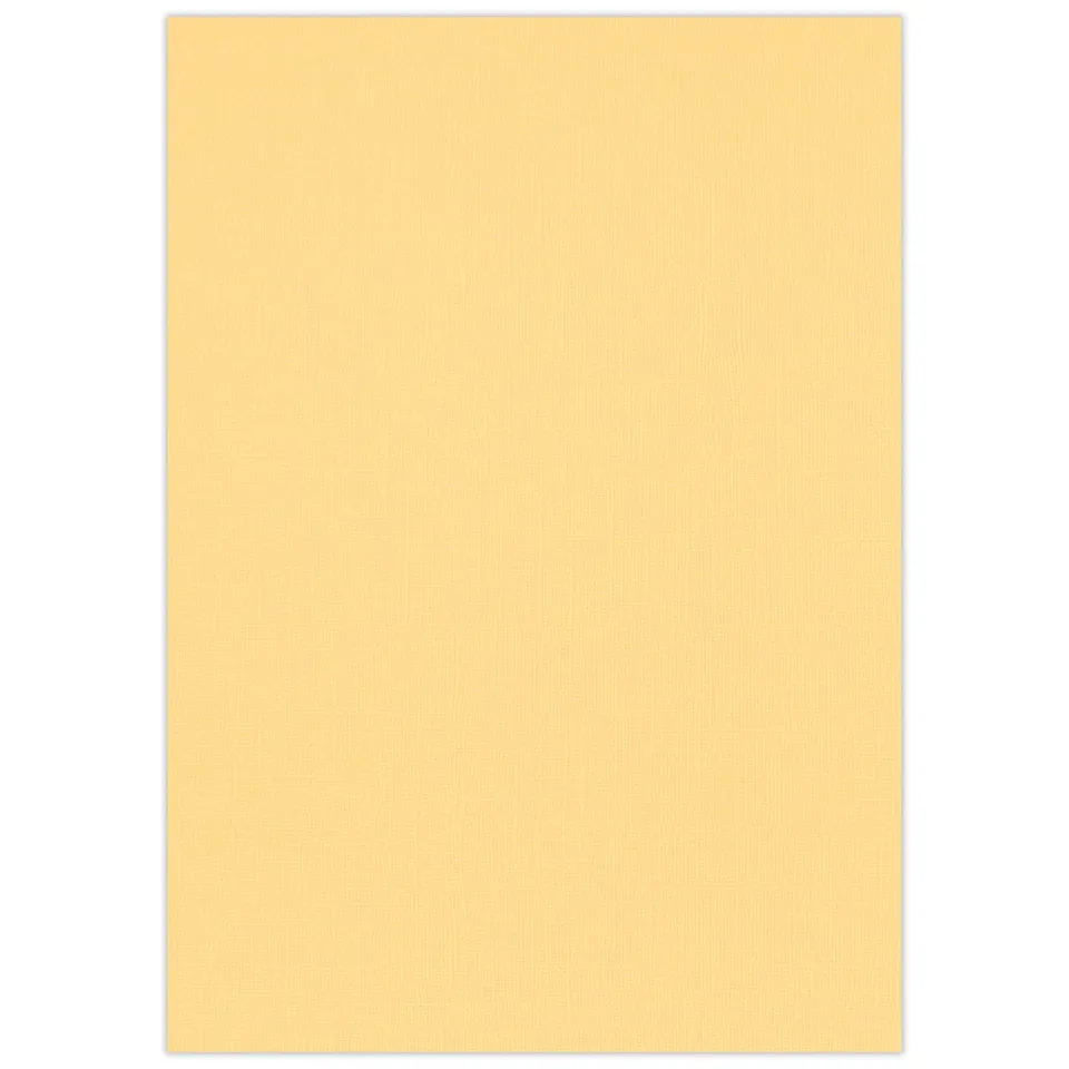 ursus-struktura-basic-1-bastelkarton-grapefruit-din-a4-220-g-qm-25-blatt image 1