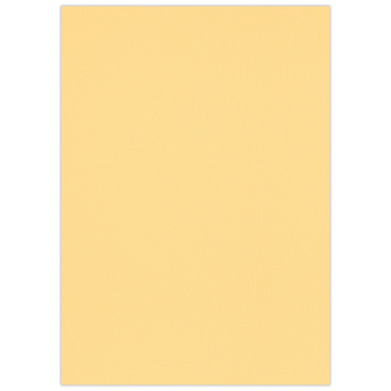 ursus-struktura-basic-1-bastelkarton-grapefruit-din-a4-220-g-qm-25-blatt image 1