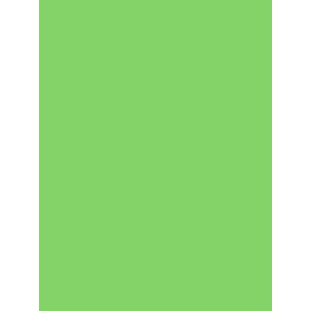 clairefontaine-384099c-plakatpapier-60-x-80-cm-90-g-farbig-sortiert-10-b-gen image 5