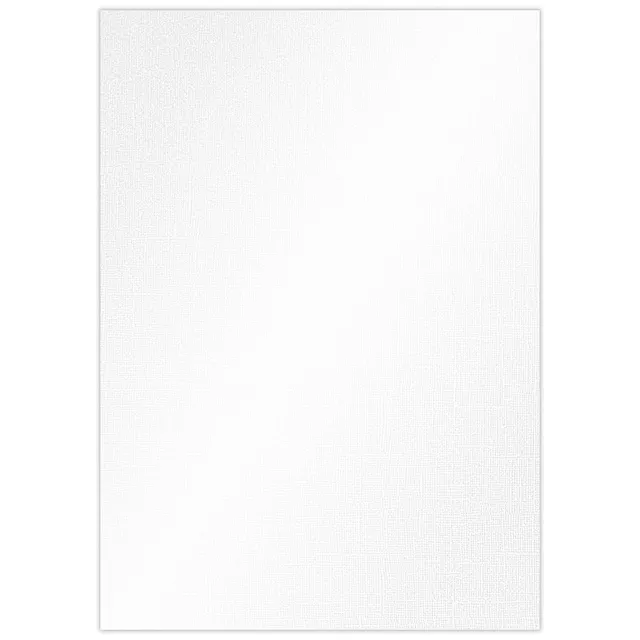 ursus-struktura-pearl-1-bastelkarton-polar-wei-220-g-qm-din-a4-25-blatt image 1