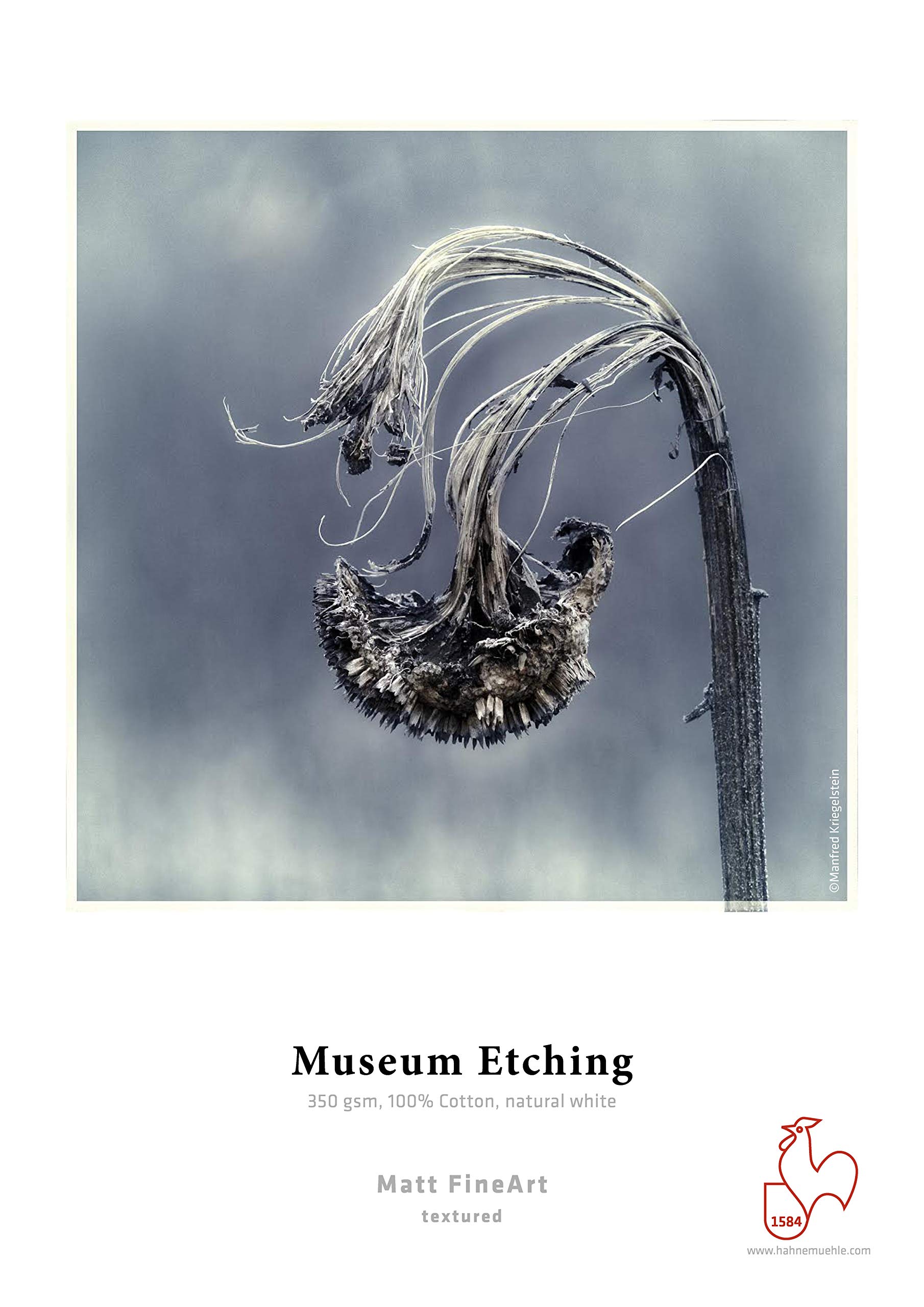 hahnem-hle-digital-fineart-museum-etching-350-g-m-deckle-edge-din-a3-329x483-mm- image 3