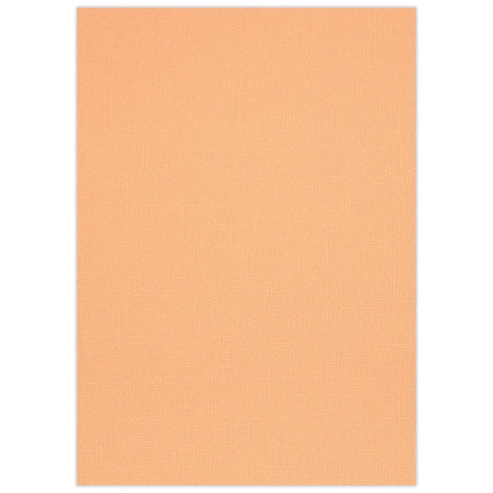 ursus-struktura-basic-2-bastelkarton-din-a4-mango-220-g-qm-25-blatt image 1