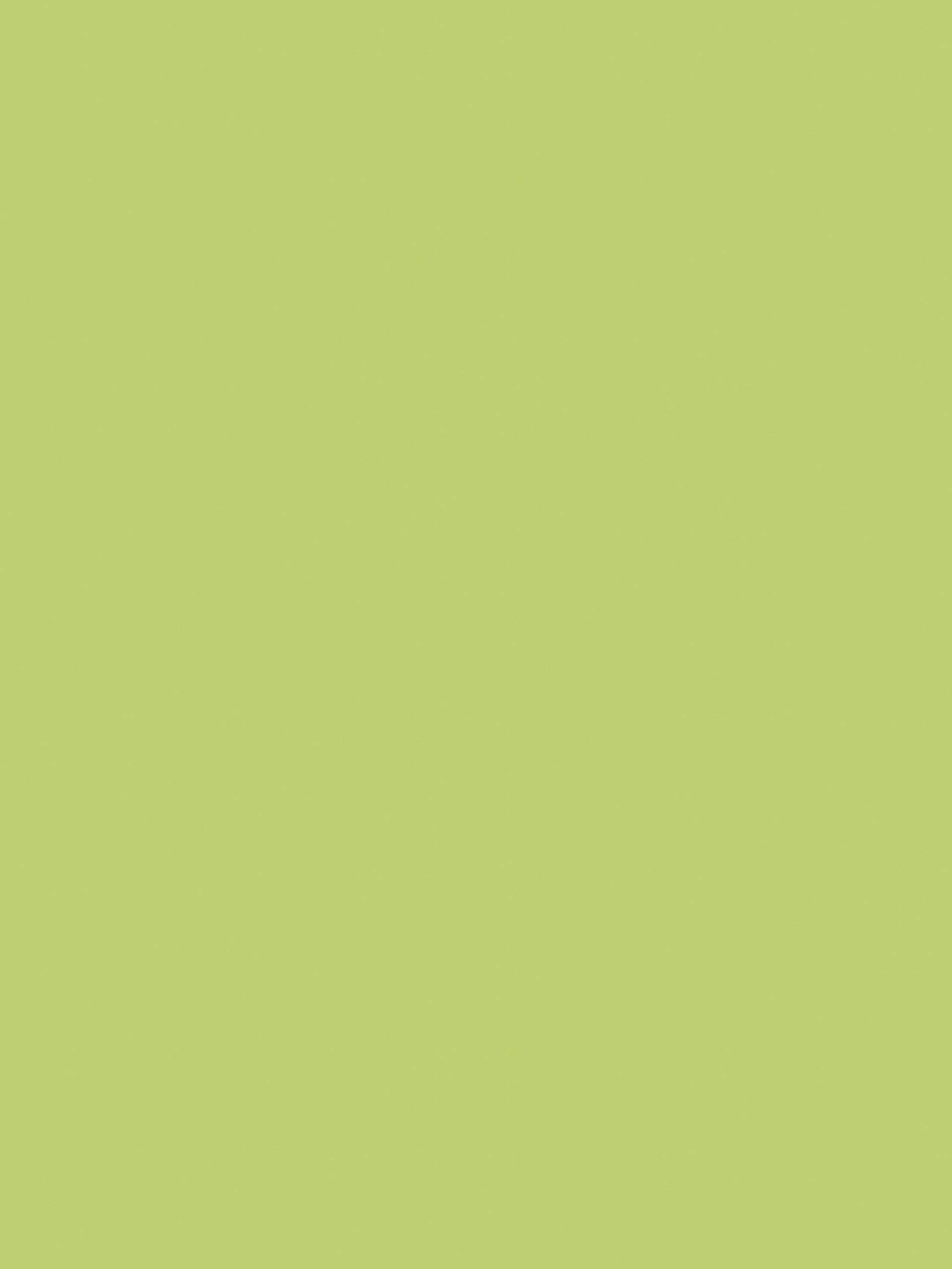 clairefontaine-384099c-plakatpapier-60-x-80-cm-90-g-farbig-sortiert-10-b-gen image 4