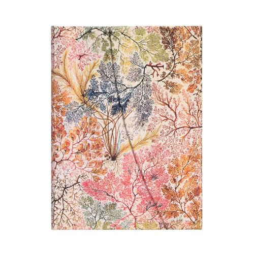 paperblanks-william-kilburn-hardcover-notizbuch-midi-130-x-180-mm-liniert image 5