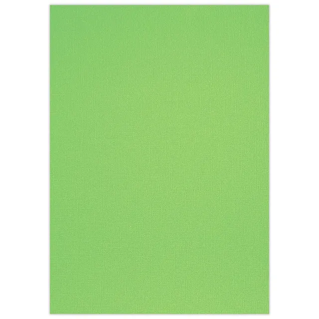 ursus-struktura-basic-2-bastelkarton-din-a4-apfelgr-n-220-g-qm-25-blatt image 1