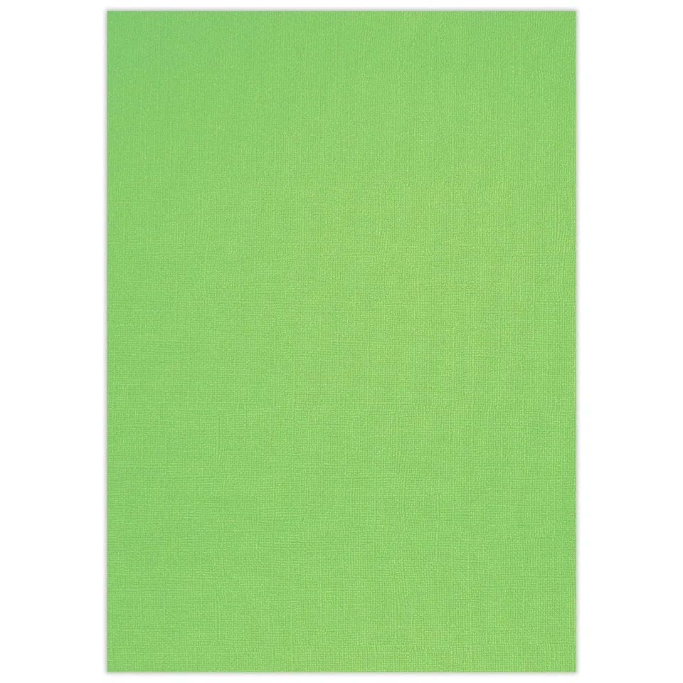 ursus-struktura-basic-2-bastelkarton-din-a4-apfelgr-n-220-g-qm-25-blatt image 1