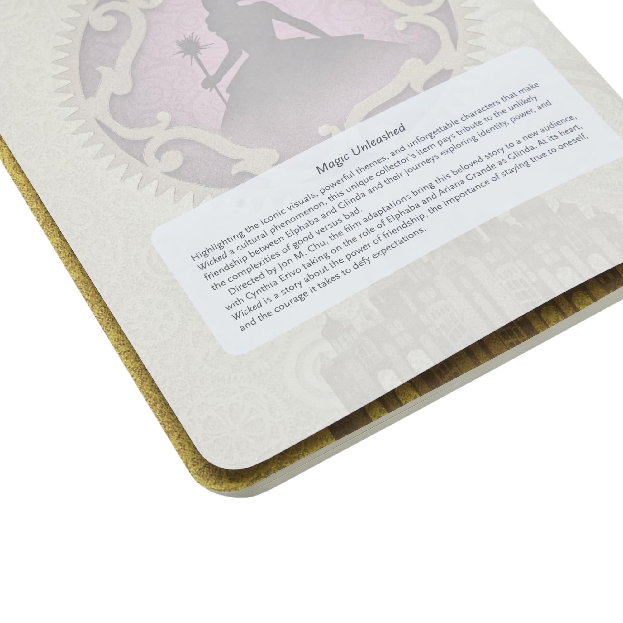 paperblanks-magic-unleashed-wicked-collection-a5-cahier-liniert image 4