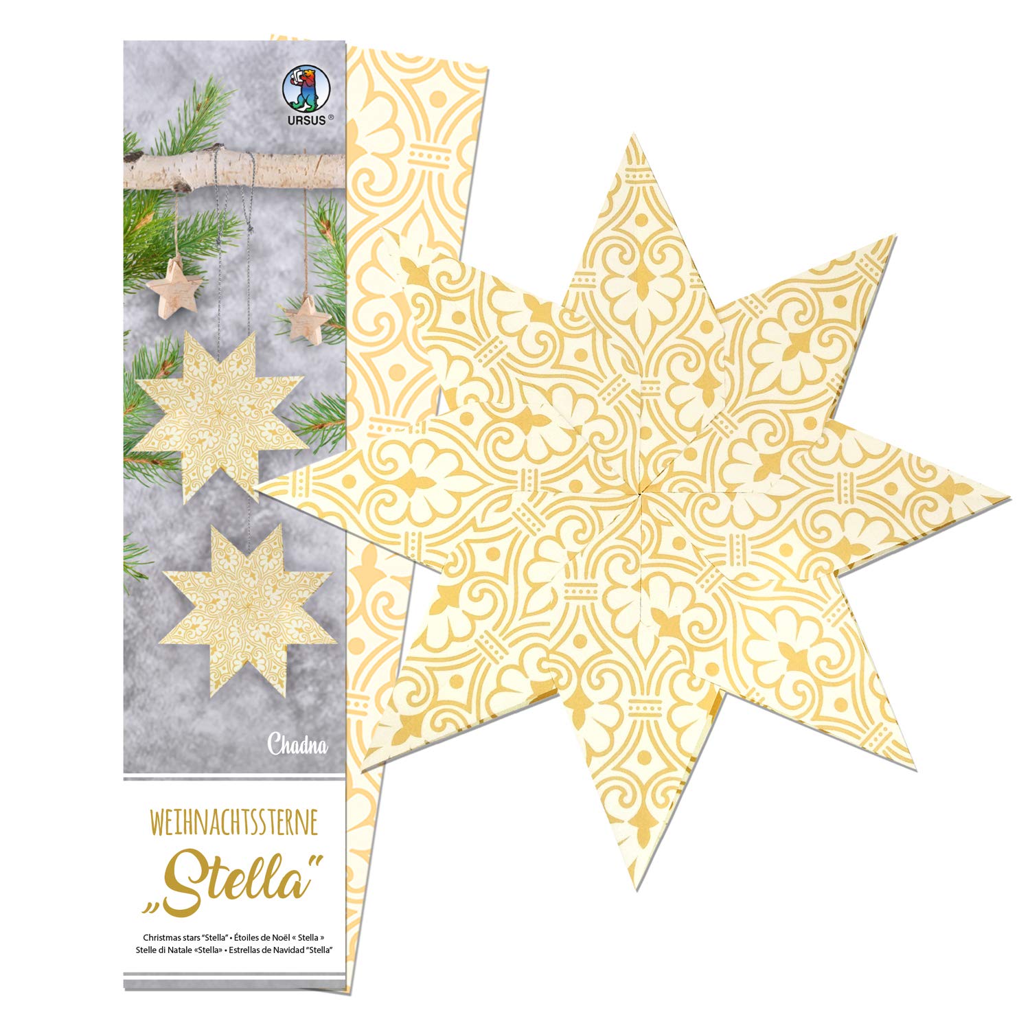 ursus-weihnachtsstern-stella-chadna-faltstern-set-wei-creme image 2
