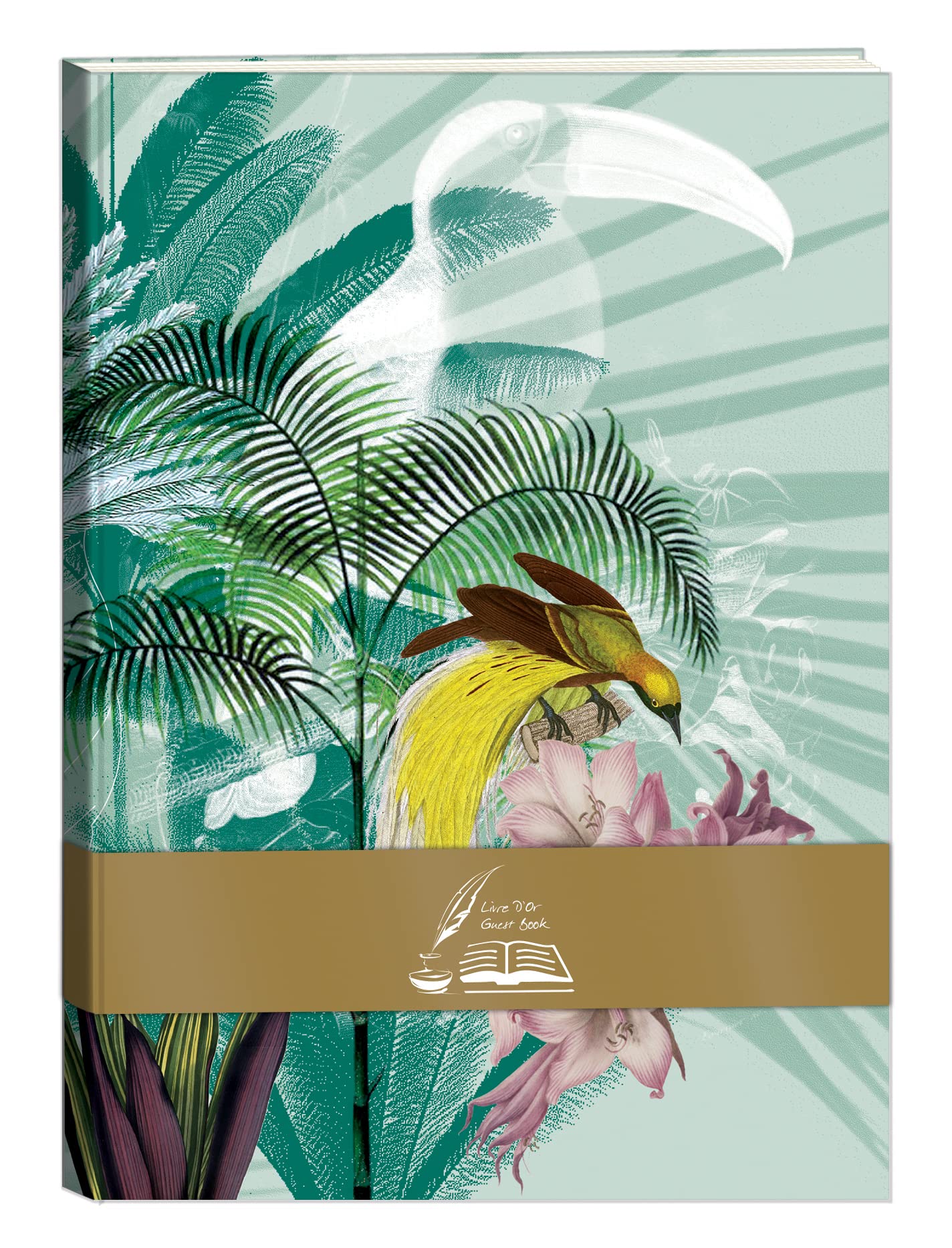 clairefontaine-115968c-evanescence-g-stebuch-spiralbindung-32x24-cm-40-blatt-180 image 7