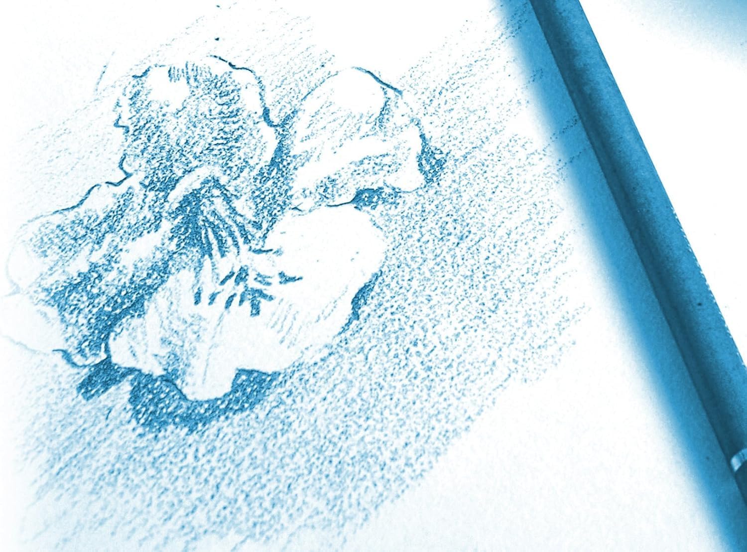 clairefontaine-zeichenpapier-mappe-din-a4-24x32-cm-180g-gek-rnt-12-b-gen image 2