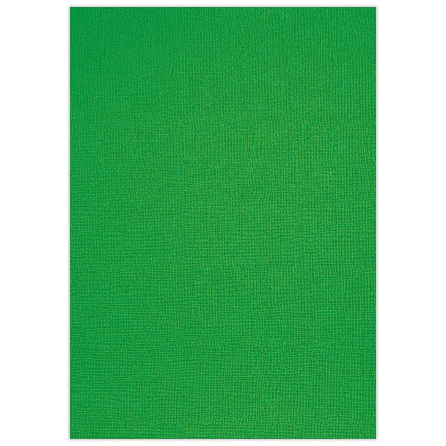 ursus-struktura-basic-2-bastelkarton-din-a4-grasgr-n-220-g-qm-25-blatt image 1