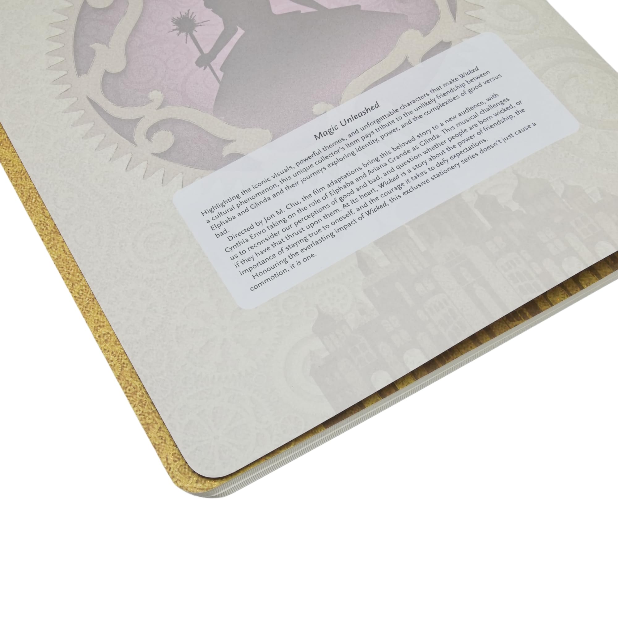 paperblanks-magic-unleashed-wicked-collection-a4-cahier-unliniert image 4