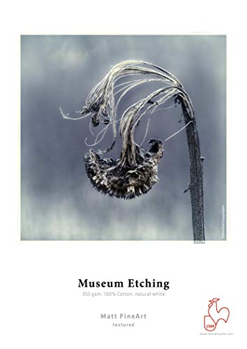 hahnem-hle-digital-fineart-museum-etching-350-g-m-deckle-edge-din-a3-329x483-mm- image 8