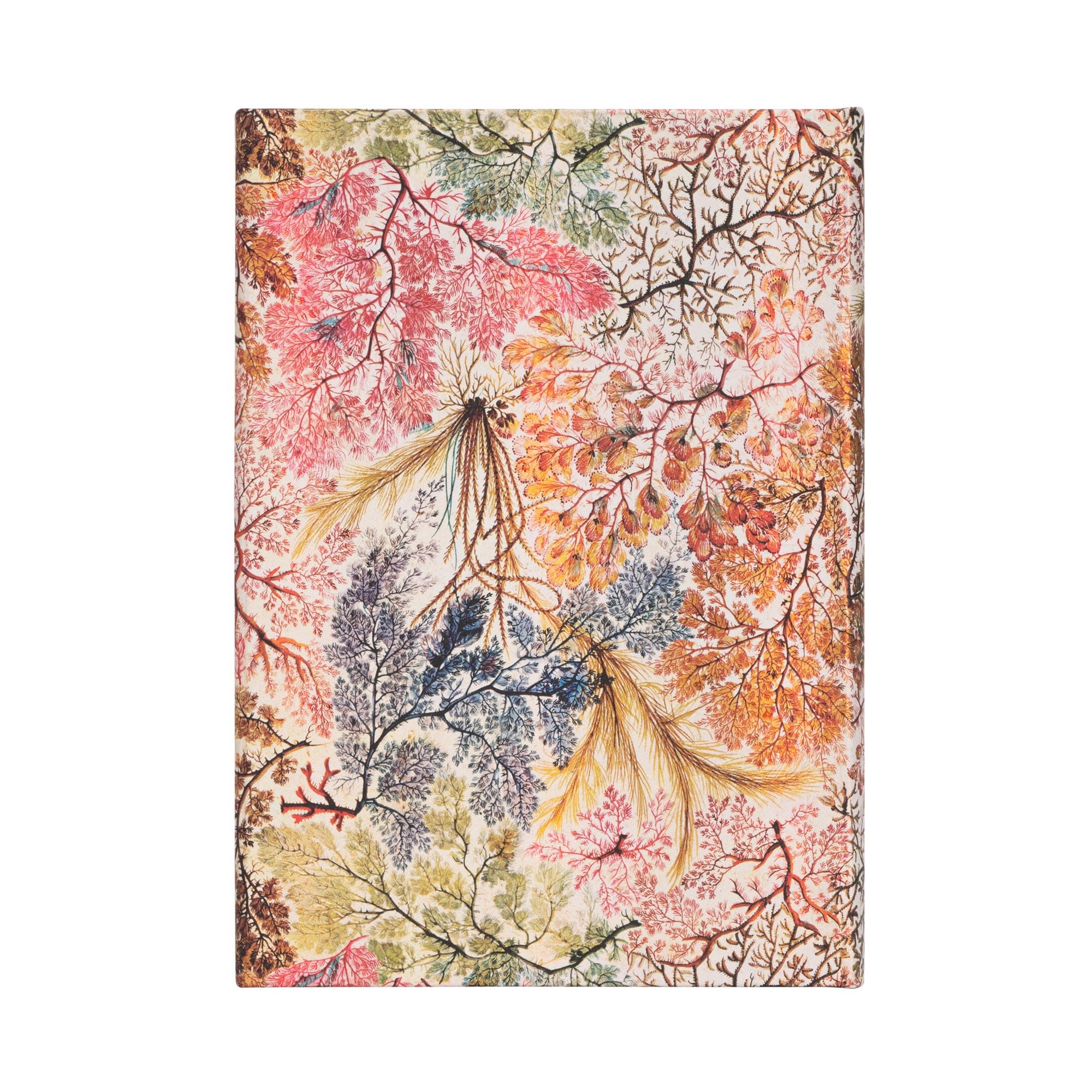 paperblanks-william-kilburn-hardcover-notizbuch-midi-130-x-180-mm-liniert image 4