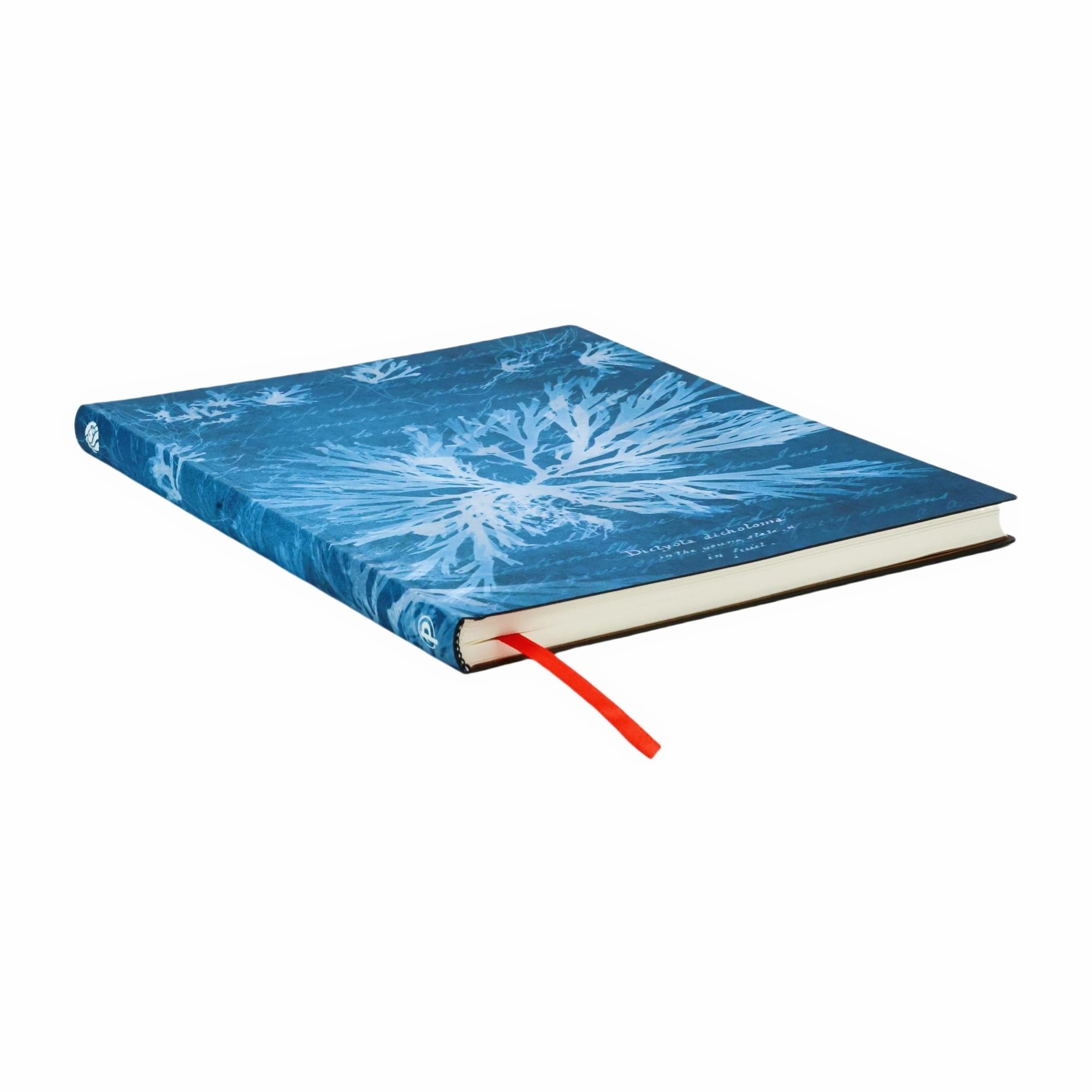 paperblanks-sea-flowers-anna-atkins-cyanotypes-journal-ultra-lined-softcover image 3