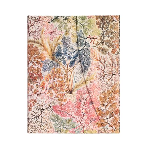 paperblanks-william-kilburn-notizbuch-hardcover-ultra-180x230-mm-liniert-144-sei image 6