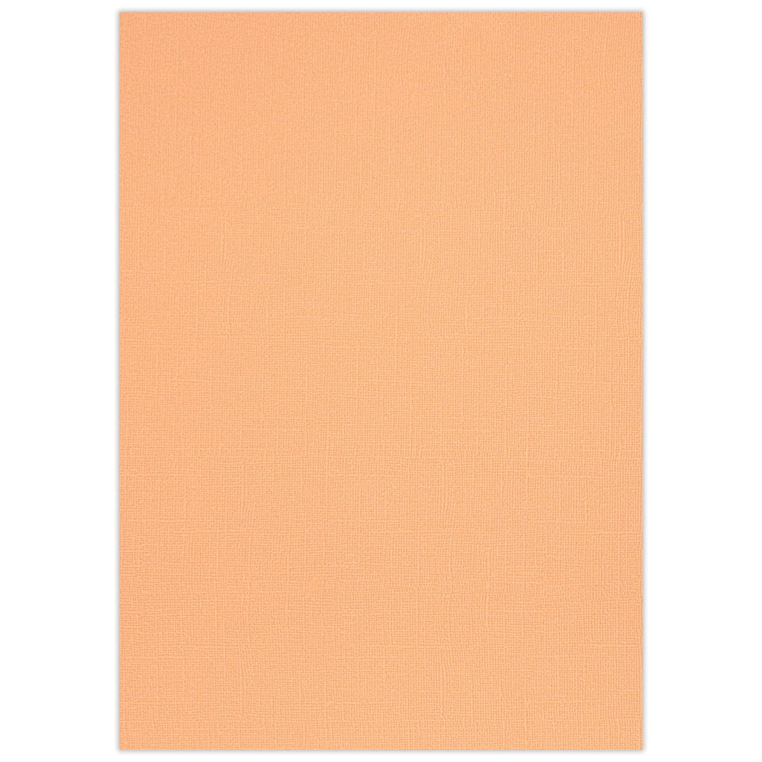 ursus-struktura-basic-2-bastelkarton-din-a4-mango-220-g-qm-25-blatt image 1