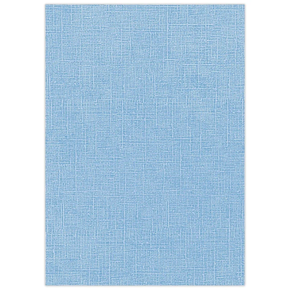 ursus-struktura-vintage-1-bastelkarton-din-a4-vergissmeinnicht-220-g-qm-25-blatt image 1
