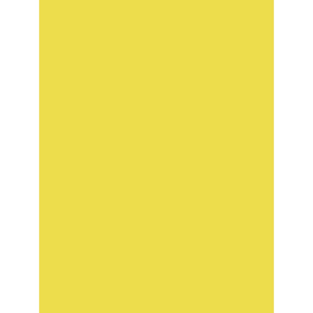 clairefontaine-384099c-plakatpapier-60-x-80-cm-90-g-farbig-sortiert-10-b-gen image 6
