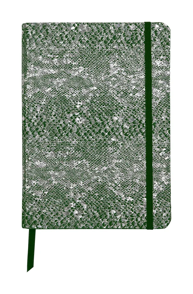 clairefontaine-c-leste-notizbuch-a5-softcover-72-blatt-liniert-gr-n-lammleder image 1