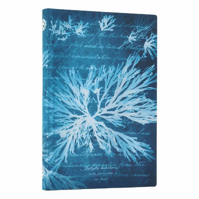 paperblanks-sea-flowers-anna-atkins-cyanotypes-mini-notizbuch-liniert-softcover- image 1