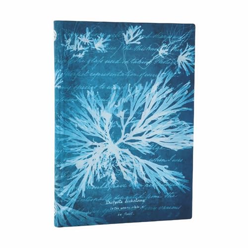 paperblanks-sea-flowers-anna-atkins-cyanotypes-midi-notizbuch-liniert-softcover- image 5