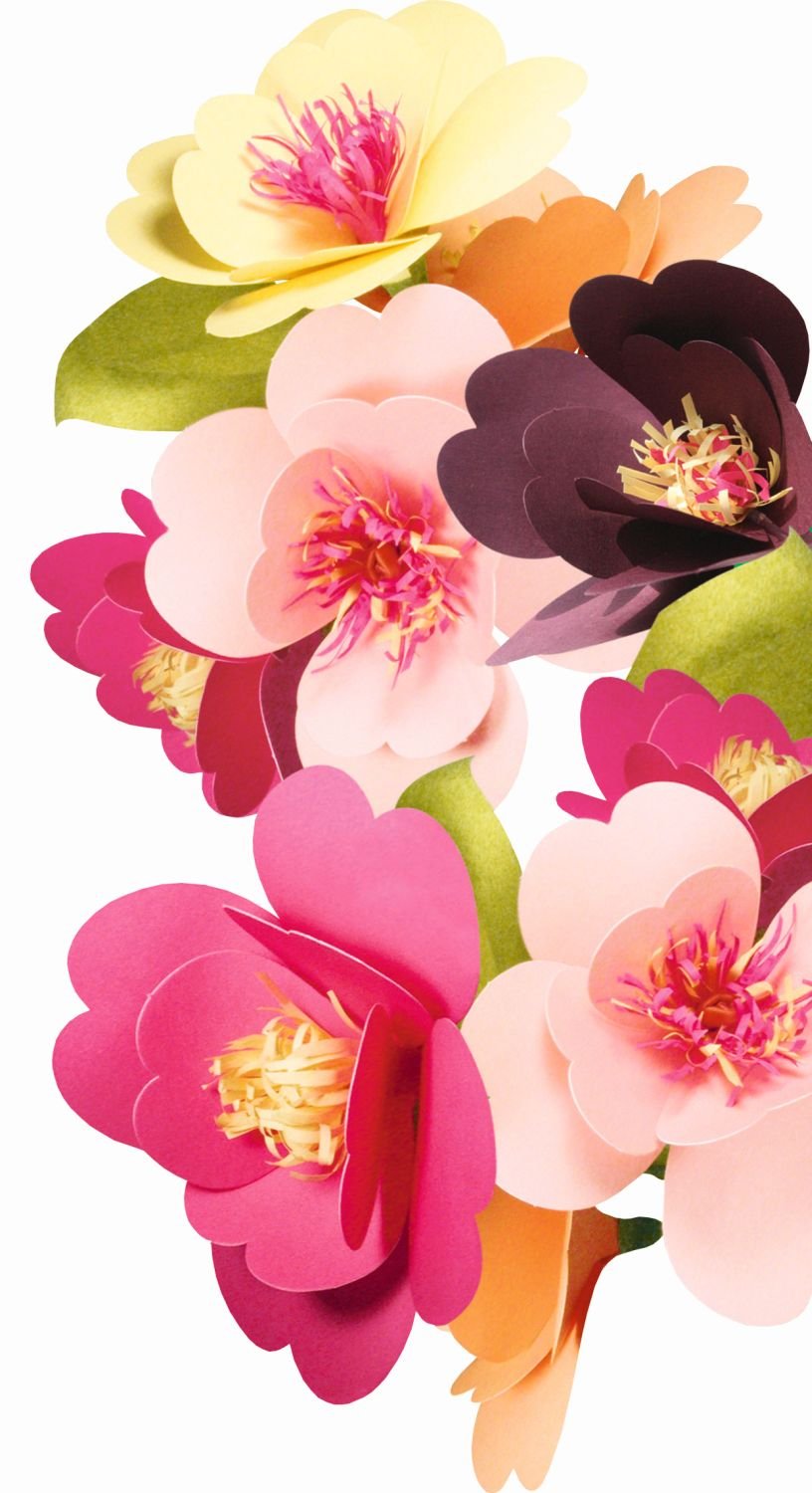ursus-27020002-papier-flower-set-2-f-r-10-papierbl-ten-8-10-cm image 2