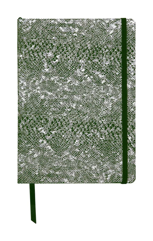 clairefontaine-400122c-kladde-celeste-hardcover-din-a5-liniert-72-blatt-gr-n image 1