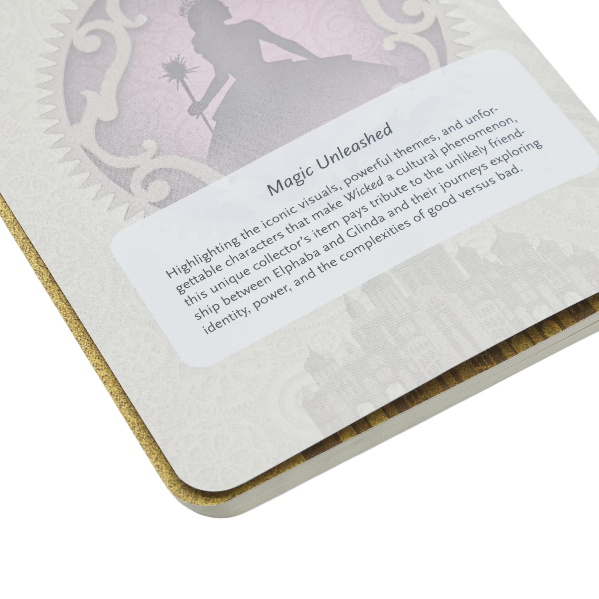 paperblanks-magic-unleashed-wicked-collection-a6-cahier-kariert image 4