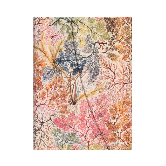paperblanks-william-kilburn-hardcover-notizbuch-midi-130-x-180-mm-liniert image 1