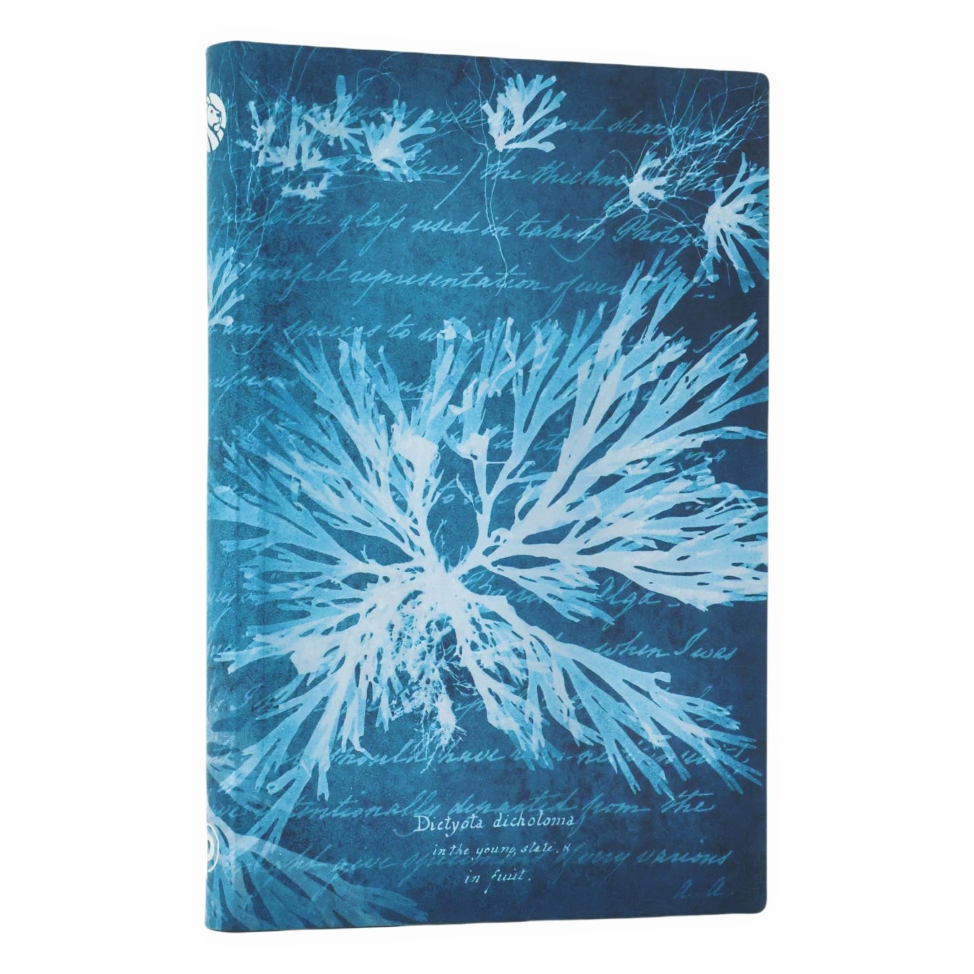 paperblanks-sea-flowers-anna-atkins-cyanotypes-mini-notizbuch-liniert-softcover- image 1