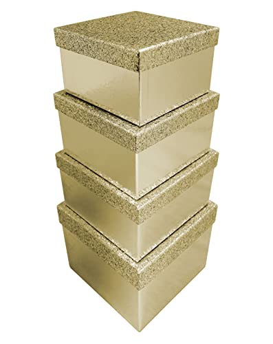 clairefontaine-x-31049-bxc-geschenkboxen-quadratisch-4-teilig-silber-glitter image 7
