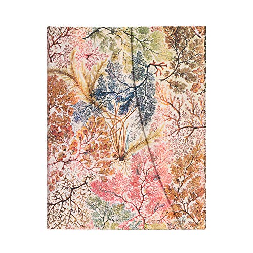 paperblanks-william-kilburn-notizbuch-hardcover-ultra-180x230-mm-liniert-144-sei image 7