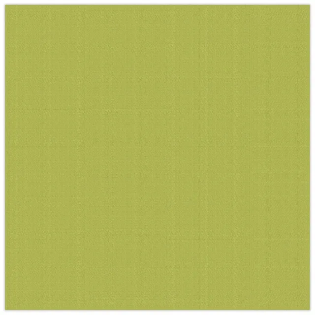 ursus-struktura-basic-1-olivgr-n-bastelkarton-tonkarton-30-5-x-30-5-cm-220-g-qm- image 1