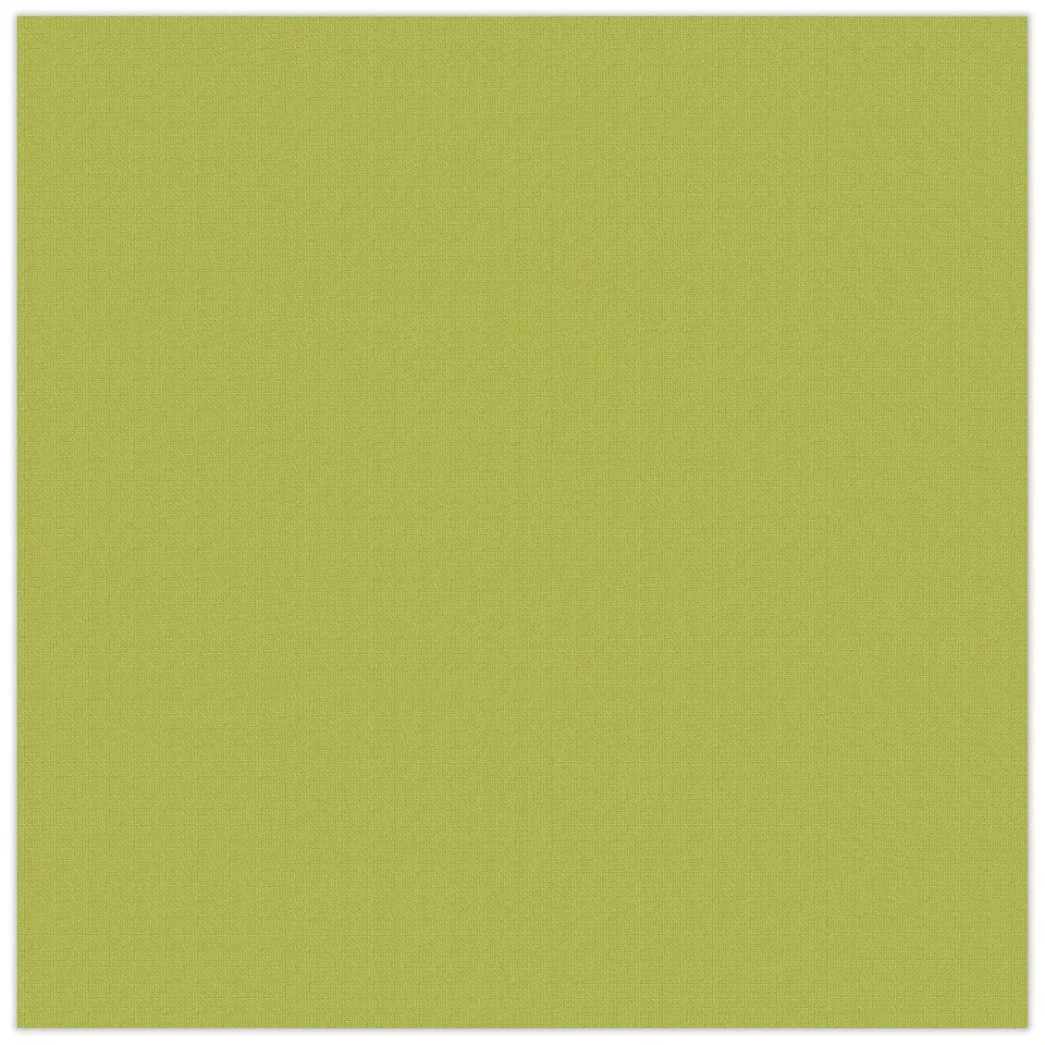 ursus-struktura-basic-1-olivgr-n-bastelkarton-tonkarton-30-5-x-30-5-cm-220-g-qm- image 1