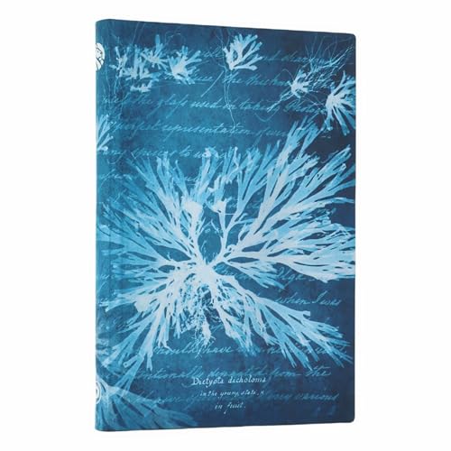 paperblanks-sea-flowers-anna-atkins-cyanotypes-mini-notizbuch-liniert-softcover- image 5