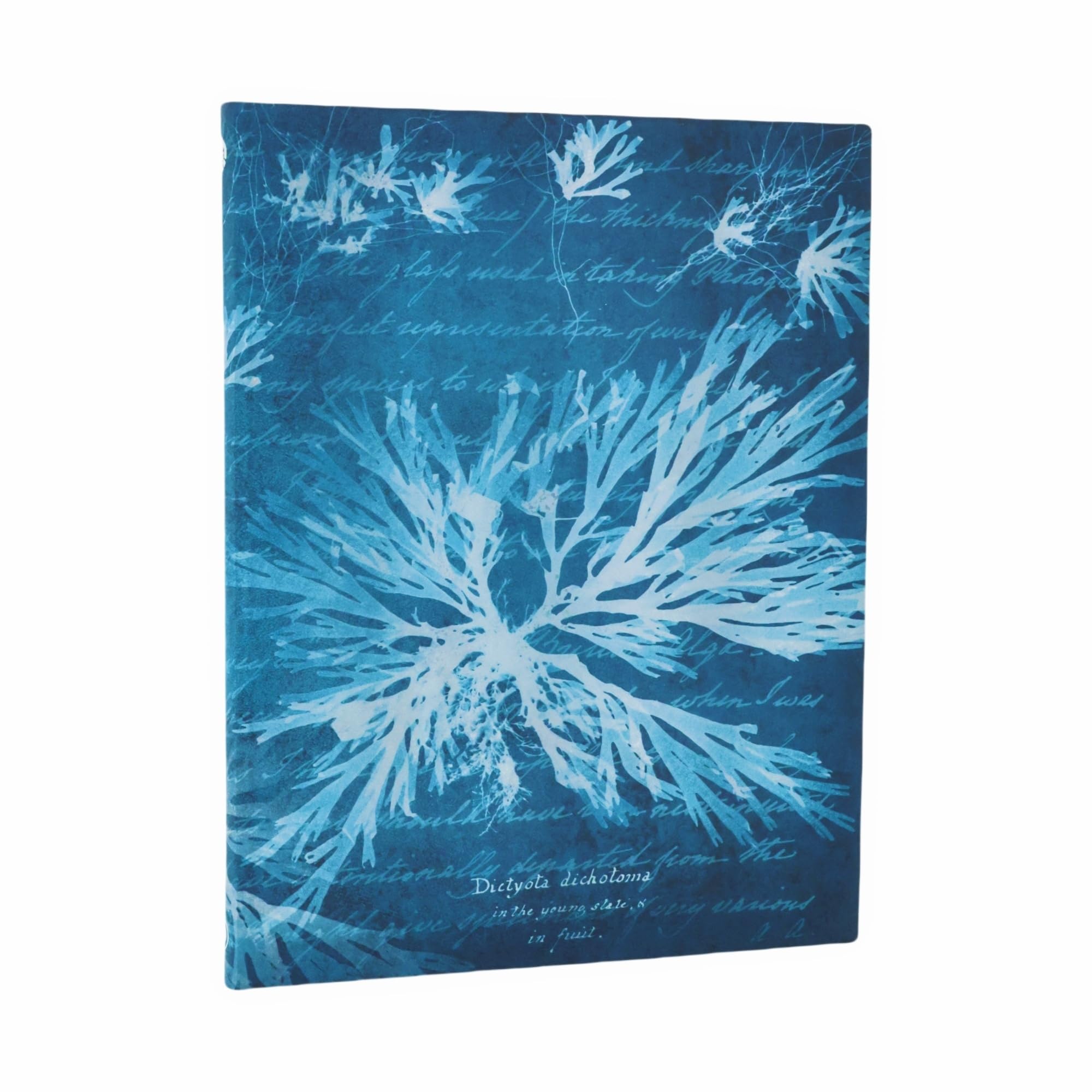 paperblanks-sea-flowers-anna-atkins-cyanotypes-journal-ultra-lined-softcover image 1